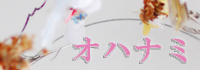ohanami_agapanthus